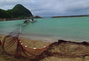 地引き網体験