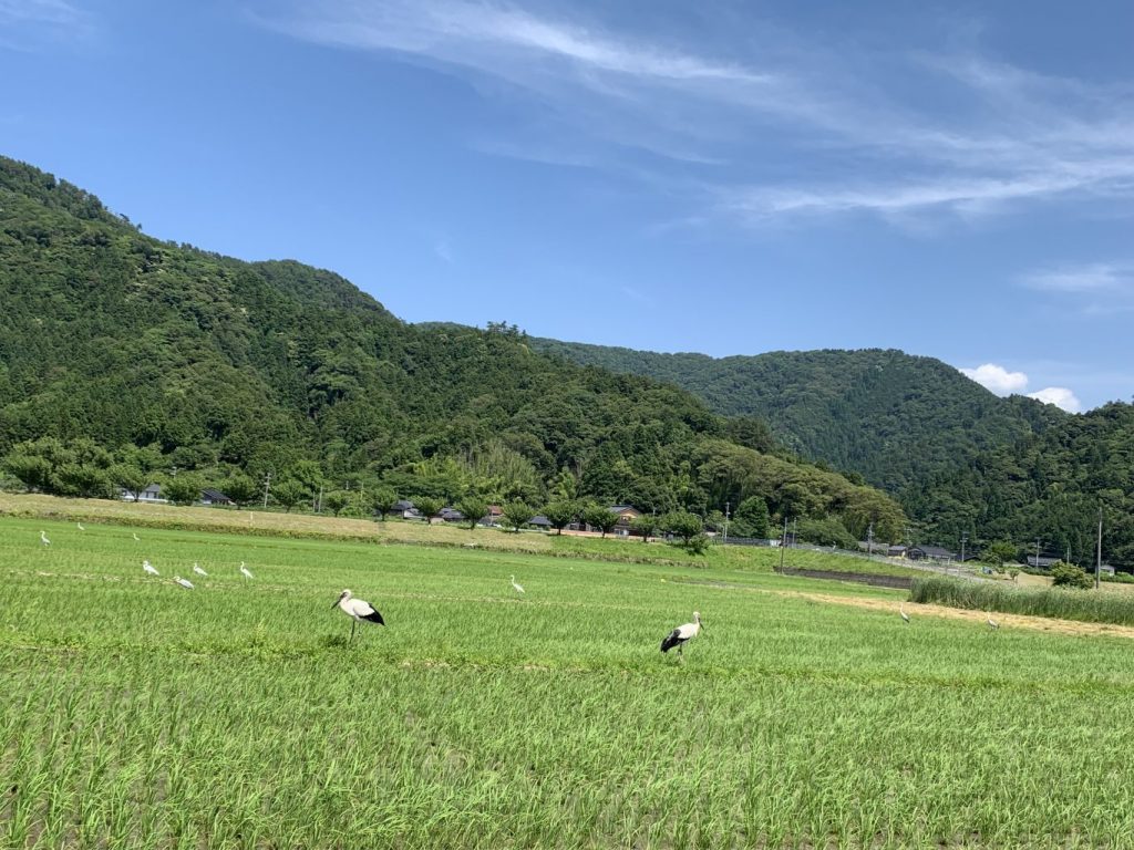 ふじや