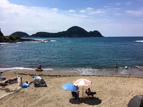 青井浜ワンワンビーチオープンしてます！