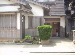 はやとり