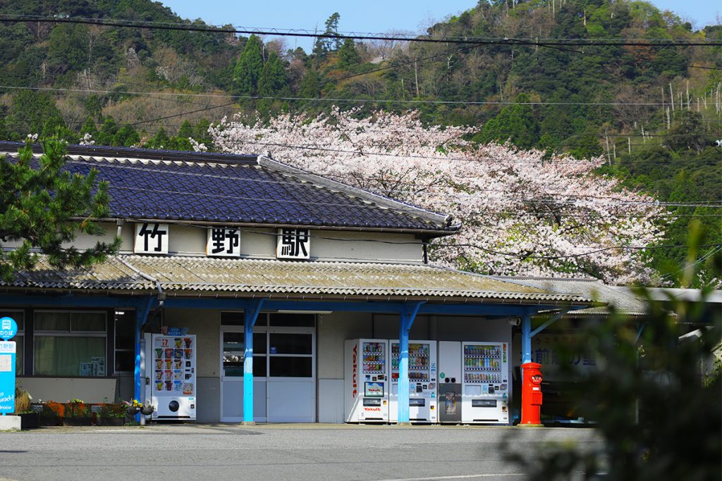 竹野駅の桜